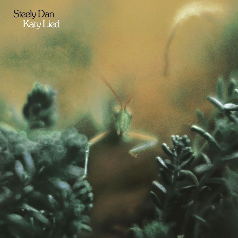Katy Lied
